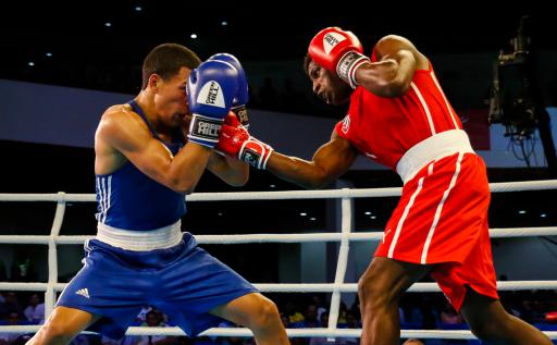 Serie Mundial de Boxeo